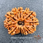 Testing Product - Image 5
