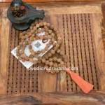8 Mukhi Japa Rudraksha Mala 108+1 with Lab Certificate – Divine & Energized