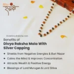 Karungali Rudraksha Mala - Image 5